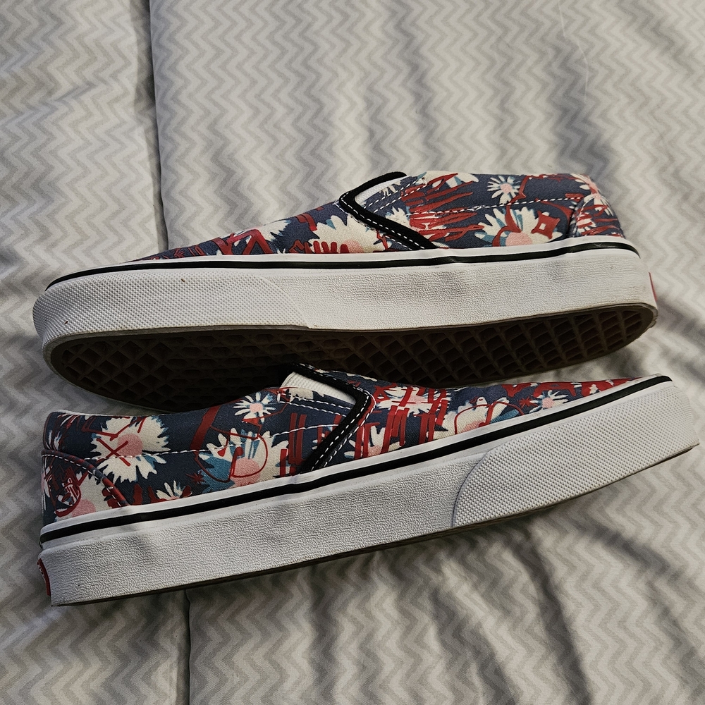 Vans Red and Blue Floral Sneakers
